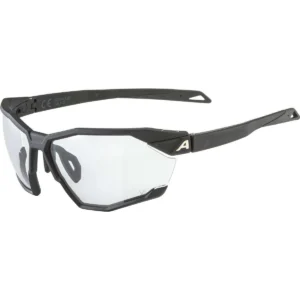Brille Alpina Twist Six Varioflex black matt
