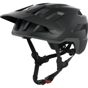 Helm Alpina Taunus black grey matt