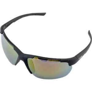 Brille Alpina Defey HR black matt / mirror red