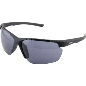 Brille Alpina Defey HR black matt