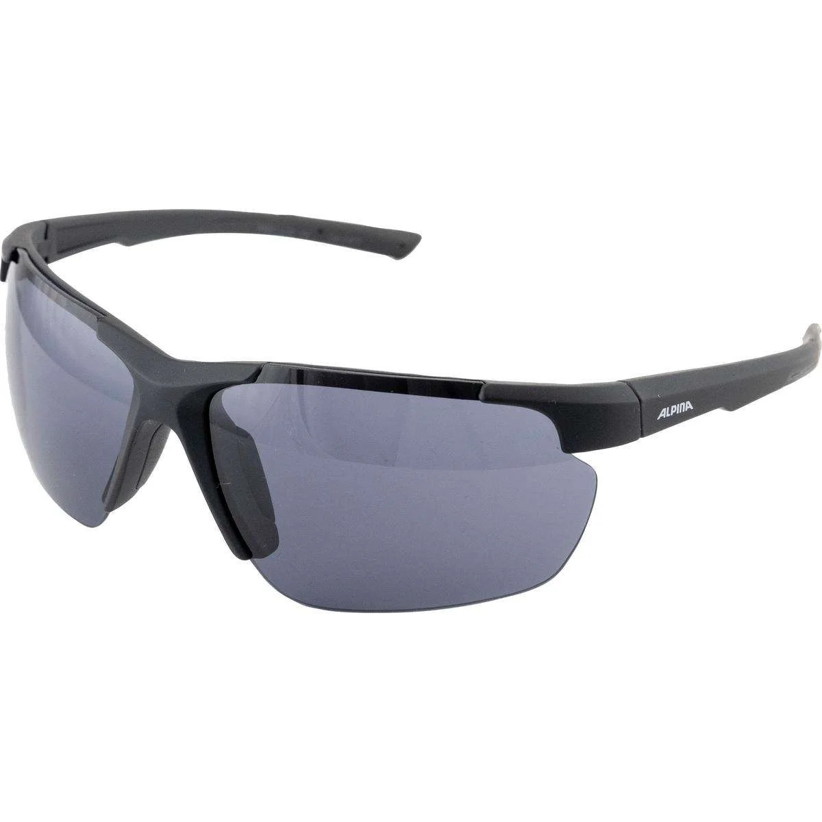 Brille Alpina Defey HR black matt